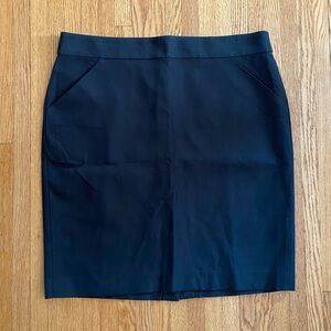 NWT Sz 16 J Crew Skirt